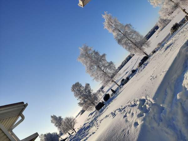 2h + s + p  Kemin - photo 4