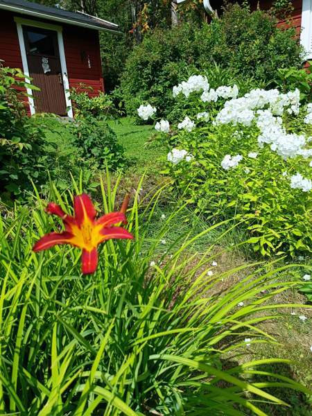 2h + kk+s  Mikkeli - photo 6