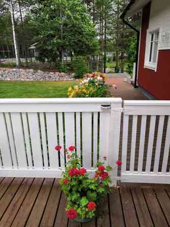 8h + k + s + p  Лохья