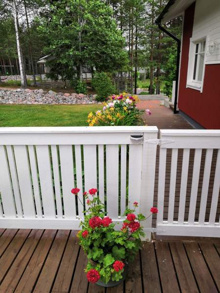 8h + k + s + p  Лохья - изображение 5