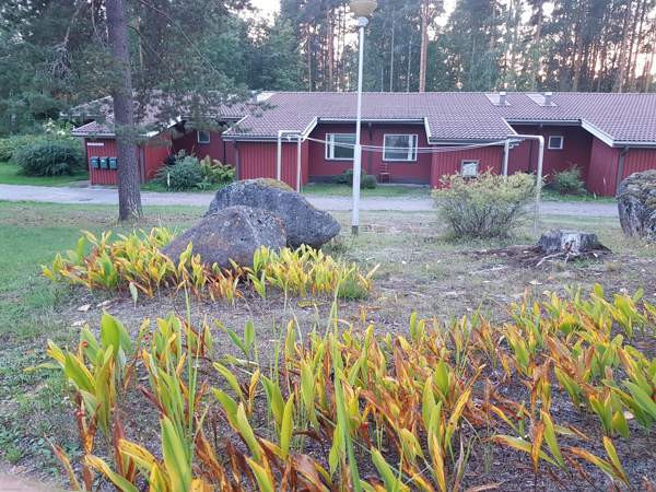 2h + k + s  Ruokolahti – foto 3