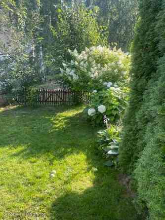 3h + s + p  Тампере