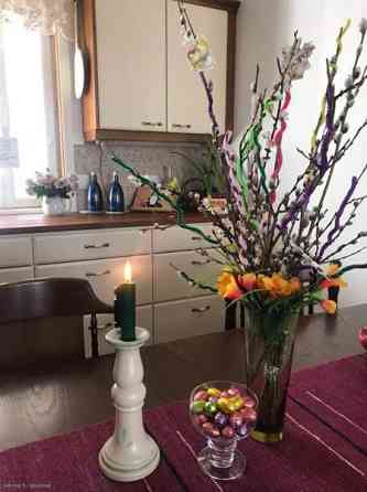 5h + avok  Сейняйоки