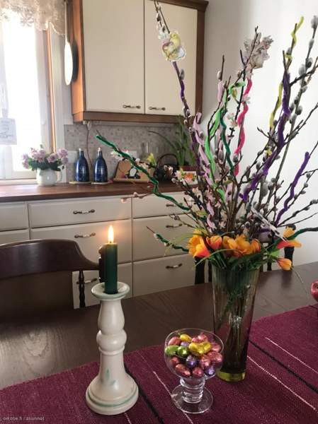 5h + avok  Seinaejoki – foto 2