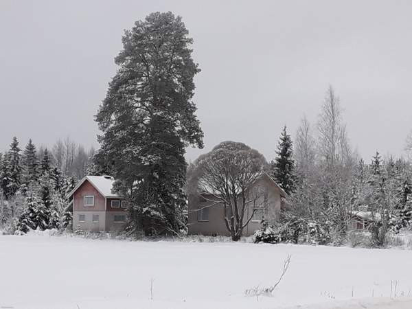 2h + k  Mynämäki - photo 2