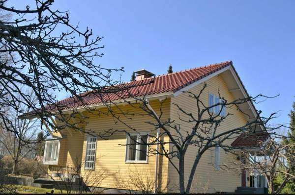 3h + k + s  Запорожская область - изображение 1