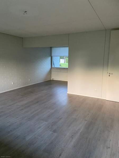 4h  Luga - valokuva 2