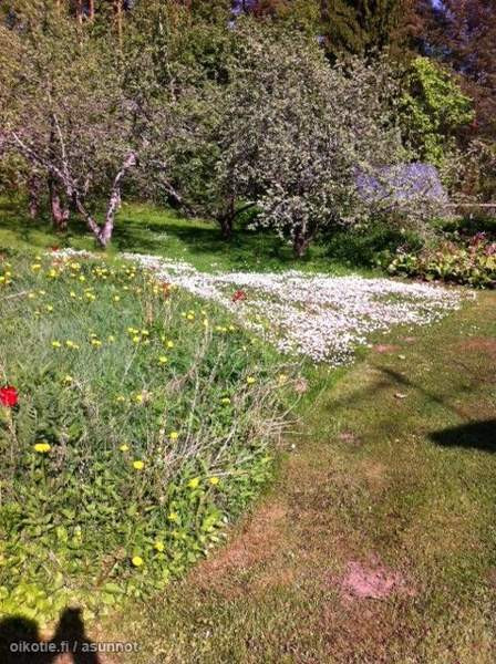 4h + k + s  Lappeenranta - photo 5