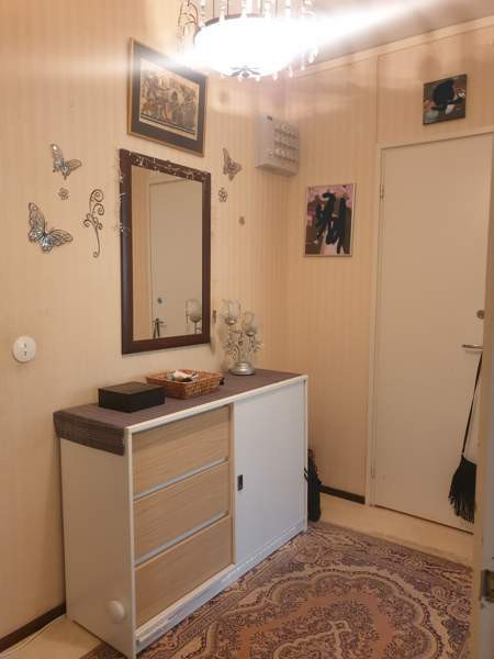 4h + k + p  Parkano - valokuva 6