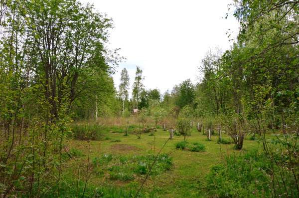 1h, k, tk, et, kph, kuisti.  Outokumpu - valokuva 8