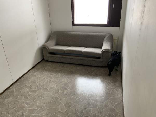 4h + s  Lieksa – foto 6