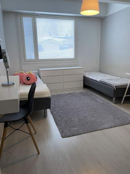 3h+k  Iisalmi - valokuva 5