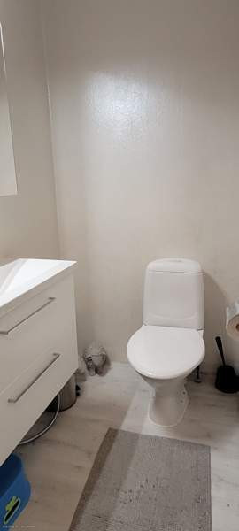 6h + k + s + kph + 2 wc + vh + at  Suonenjoki – foto 5