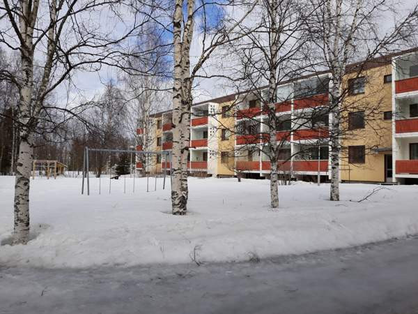 3h + k + s + p  Кемин - изображение 1