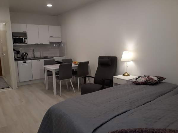 1h + p  Ikaalinen – foto 2