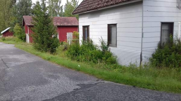 3h + sauna,pesuh.  Kuopio - valokuva 4