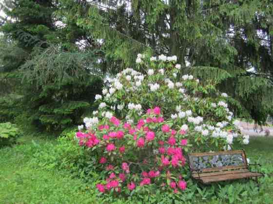 3 mh, oh, keittiö+ruokailutila, takkah, ph, sauna,  Ruokolahti