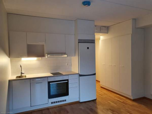 1h  Jyvaeskylae - photo 7