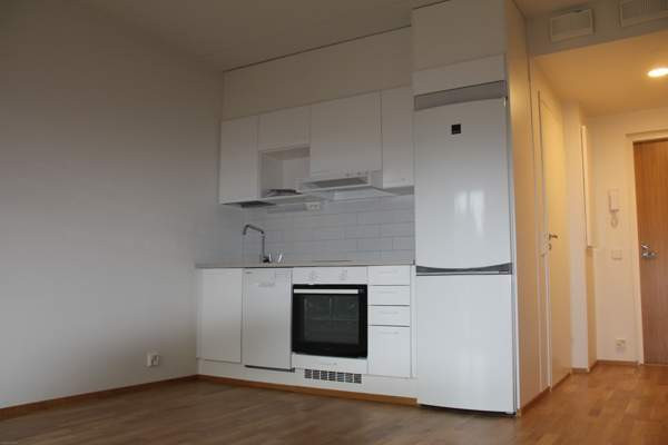 1h  Jyvaeskylae - photo 1