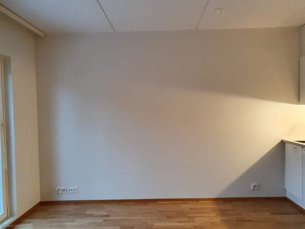 1h  Jyvaeskylae - photo 6