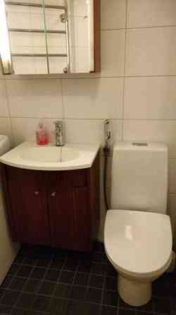 1h, kph, parvi  Helsinki