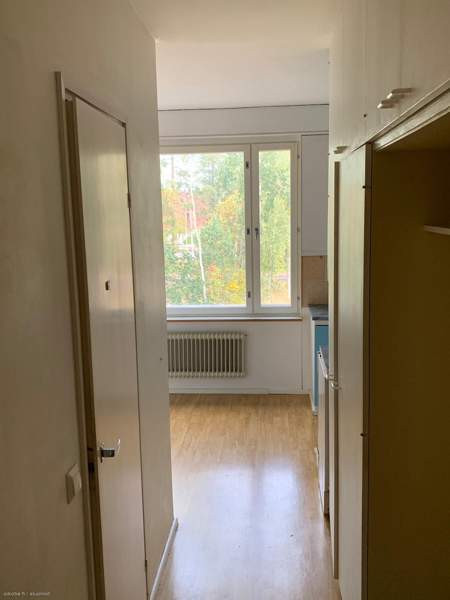 2h+k+kph+p  Chukotskiy Avtonomnyy Okrug – foto 3