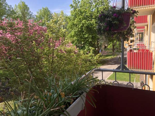 3h + k  Turtkul - photo 2