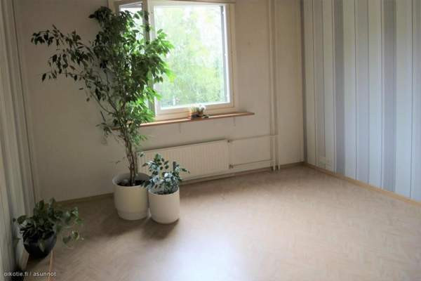 4h + k + p  Nokia - valokuva 7