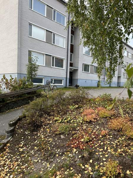 1h + kk + p  Äänekoski - изображение 1