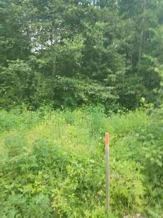 Tontti  Jämsänkoski