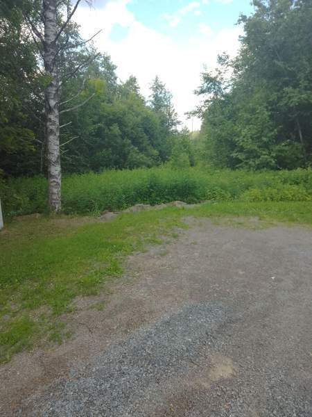 Tontti  Jämsänkoski - valokuva 3