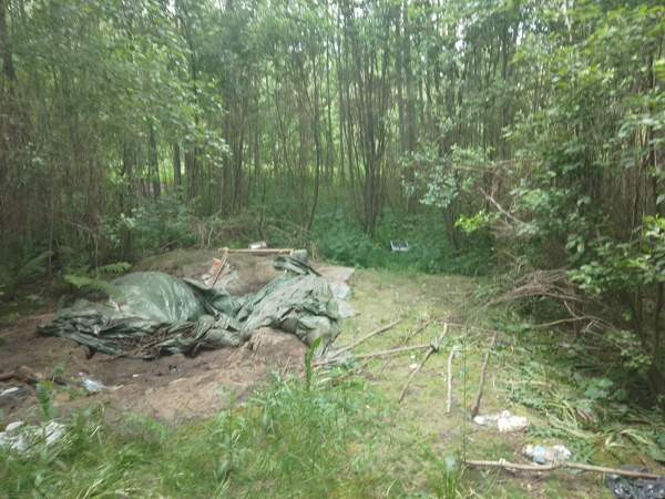 Tontti  Jämsänkoski - valokuva 6