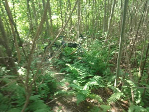 Tontti  Jämsänkoski - valokuva 5