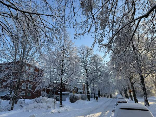 3h + k + p  Helsinki – foto 4