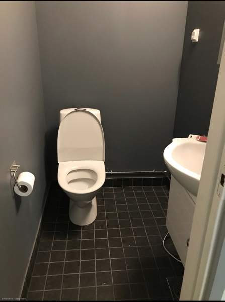 4h + k + s  Vesanto - photo 3