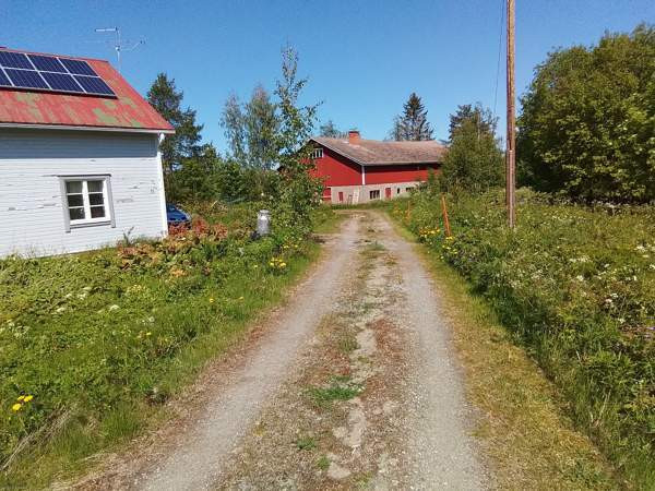 5h + k + s + kuisti  Tuusniemi – foto 4