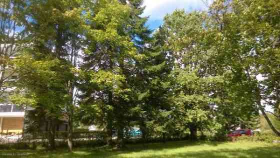 2. kerr. 3h+k+kph/wc, 1h+kk+wc 1. kerr. 3h+kk+wc,  Heinävesi