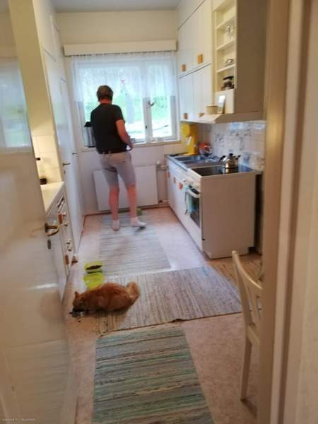 3h  Rovaniemi - valokuva 1