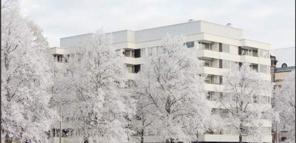 1h + kk  Турткуль - изображение 5