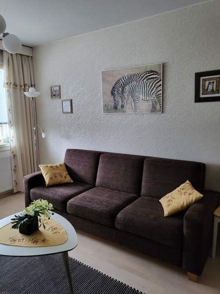 1h + kk + p  Ikaalinen - valokuva 2