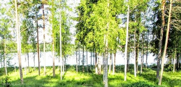 2h + k + s  Karstula - изображение 3