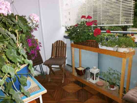 3h + s + p  Куопио