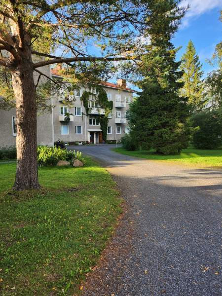 1h + k  Кемин - изображение 2