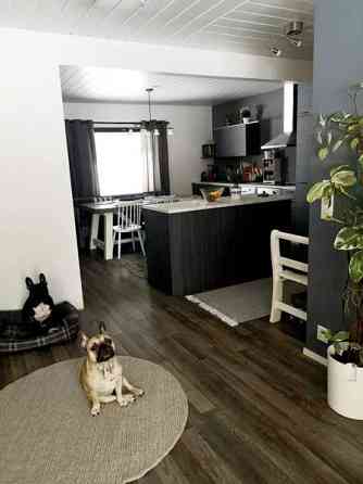 4h + avok + s  Lieksa