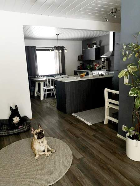 4h + avok + s  Lieksa – foto 1