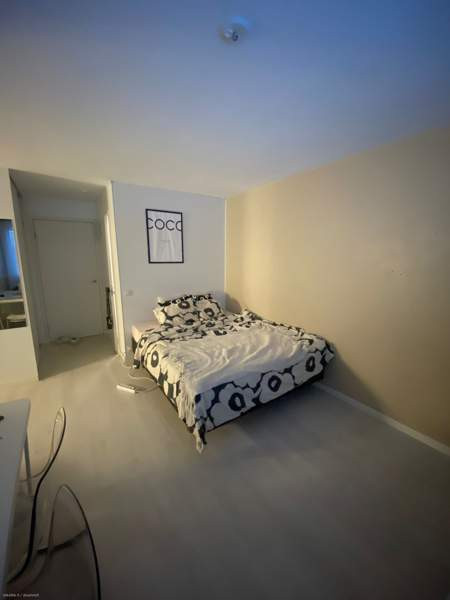 1h + kk + p  Kemin – foto 4