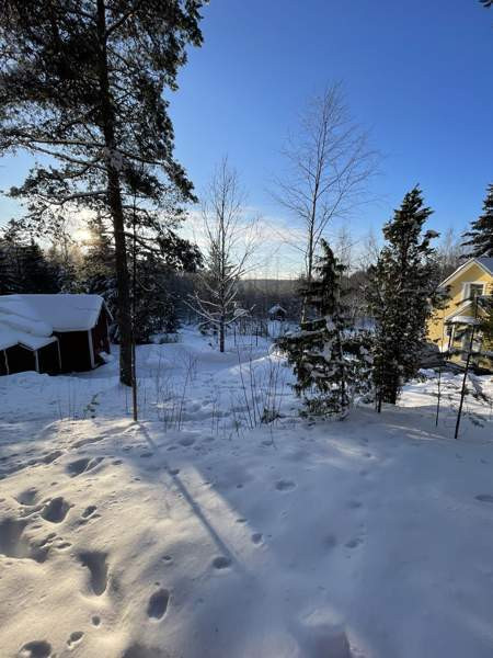 3h + keittiö  Imatra – foto 7