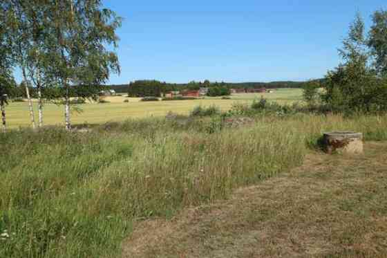 4h + k + s  Punkalaidun