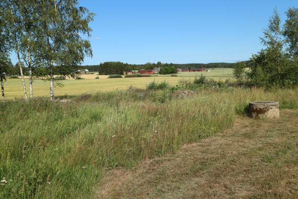 4h + k + s  Punkalaidun - valokuva 1