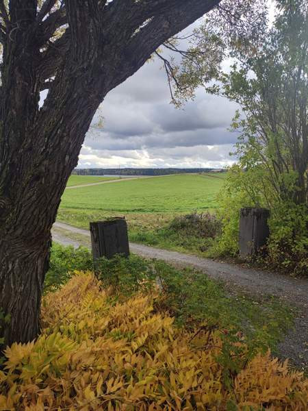 4h + s  Ikaalinen - изображение 1